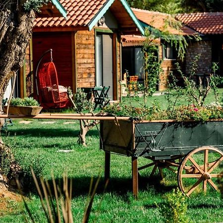 לינה וארוחת בוקר פוצ'ה Serender Bungalov מראה חיצוני תמונה