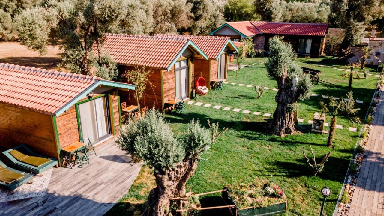 לינה וארוחת בוקר פוצ'ה Serender Bungalov מראה חיצוני תמונה