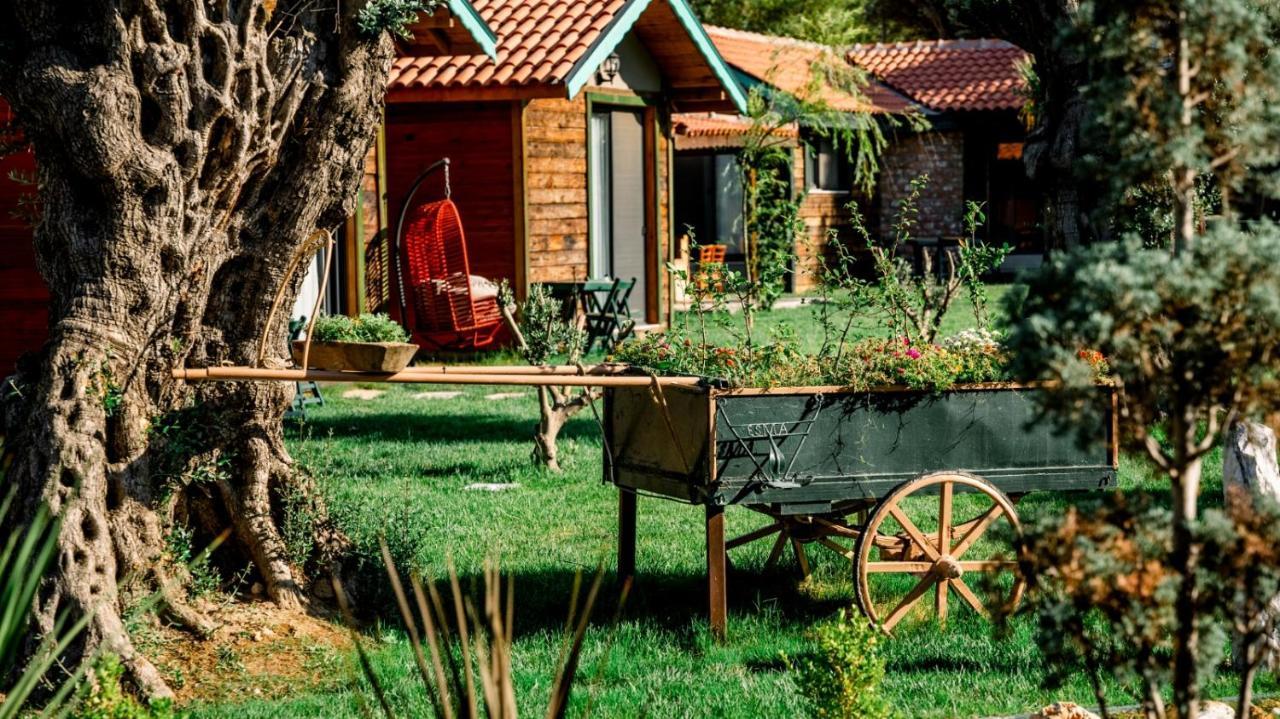 לינה וארוחת בוקר פוצ'ה Serender Bungalov מראה חיצוני תמונה