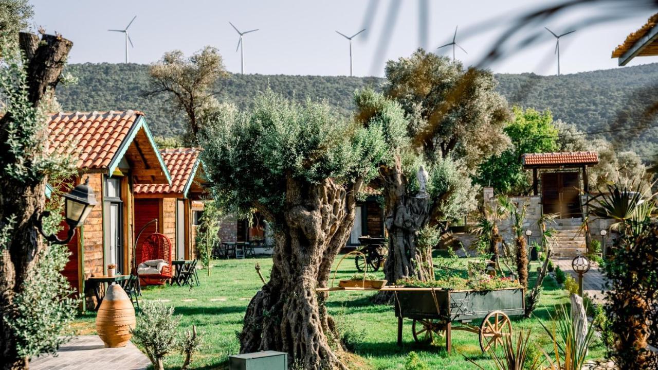 לינה וארוחת בוקר פוצ'ה Serender Bungalov מראה חיצוני תמונה